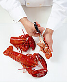 Chef preparing a lobster with kitchen scissors
