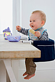 Baby boy sitting in clip-on chair and eating a biscuit
