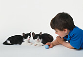 Boy plays with his cats