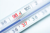 Thermometer with normal body temperature