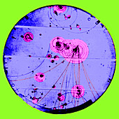 Proton-photon collision