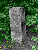 Crownstone marker along Mason-Dixon line