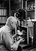 Roman Vishniac, Russian-American biologist, 1958