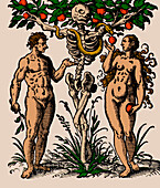 Garden of Eden, Adam and Eve, 1580