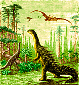 Stegosaurus and Compsognathus dinosaurs