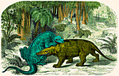 Iguanodon biting Megalosaurus, Cretaceous