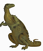 Iguanodon, Mesozoic dinosaur