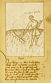 Agriculture, 15th century illustration