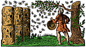 Medieval apiary