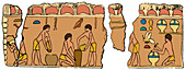Egyptian beekeepers, 25th century BC