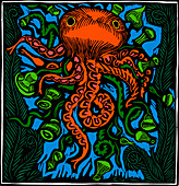 Octopus, 20th century