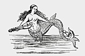 Mermaid playing stringed instrument in water