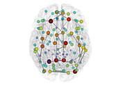 Brain mapping, illustration