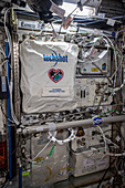Bioprinting system aboard the International Space Station