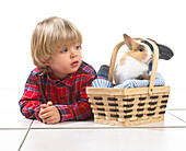 Young boy lying next to rabbit in a wicker basket