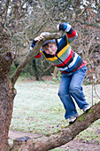 Boy climbing tree