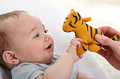 Baby boy and woman playing together with toy tiger