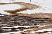 Nerve fibres, light micrograph