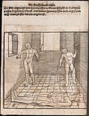 Proportion and perspective, 16th century illustration