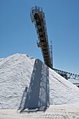 Messolonghi salt harvesting machine