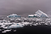 Icebergs in Portal Point, Antarctica