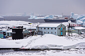Vernadsky research base, Galindez Island, Antarctica
