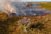 Bushfire in the Okavango Delta, Botswana