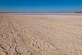 Vehicular tracks on the Kudiakam salt pan, Botswana