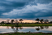 Thunderstorm approaching the Okavango delta, Botswana