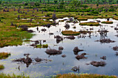 Okavango delta floodplains, Botswana, aerial photograph