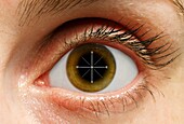 Human eye and compass, conceptual composite image