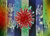 Coronavirus particle, conceptual illustration
