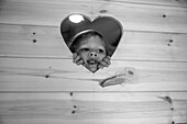 Girl peering through heart shape in wood