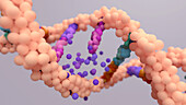 DNA mutation, conceptual illustration