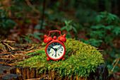 Small red alarm clock on a forest stump