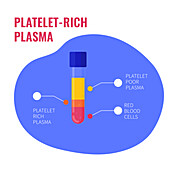 Platelet-rich plasma composition, conceptual illustration