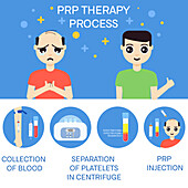 PRP hair treatment, conceptual illustration