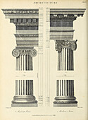Ionic orders, 19th century illustration