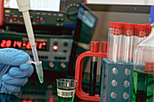 Sample preparation for Mass spectrometry in a scientific laborat