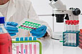 Scientist pipetting samples into a plate