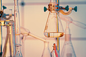 Chemical laboratory with test tubes and flasks