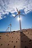 Wind turbines in the desert
