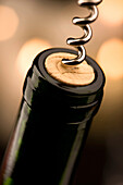 Corkscrew in bottle of wine