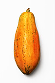 Papaya fruit