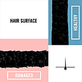 Hair health, conceptual illustration