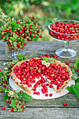 Wild_strawberry_pie
