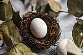 Easter card concept with egg nest and eucalyptus