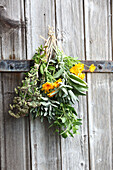 Bouquet of medicinal herbs hung up to dry