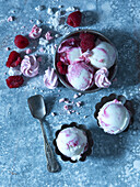 Raspberry frozen yogurt with meringues