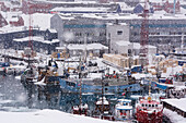 Fishing boats in a harbor during a snow storm